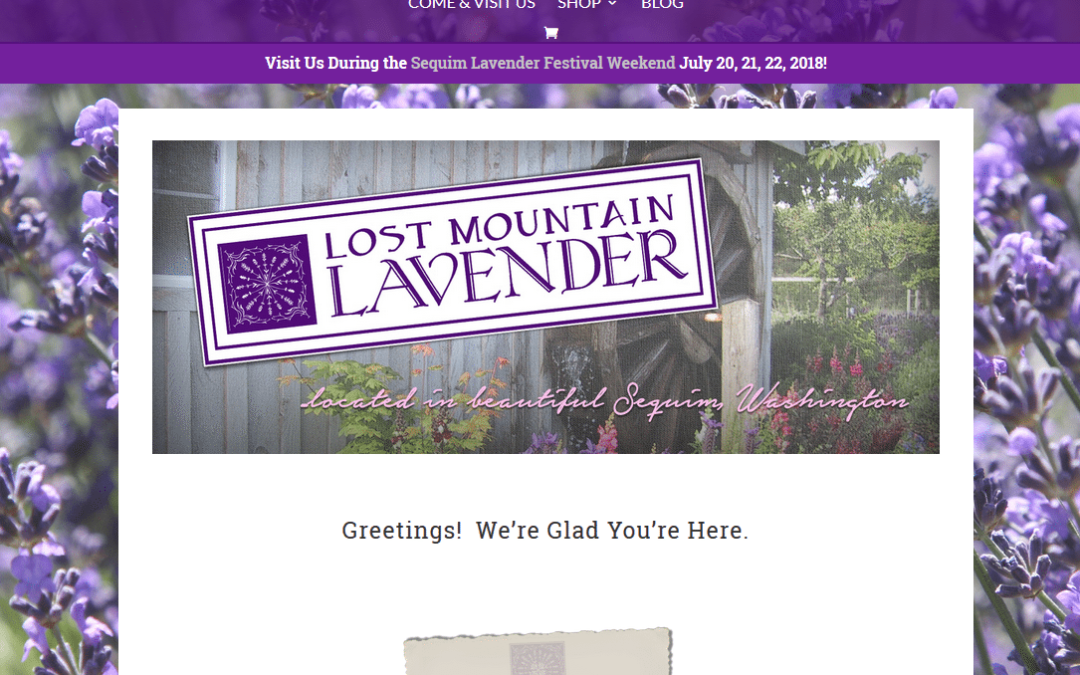 Lost Mountain Lavender
