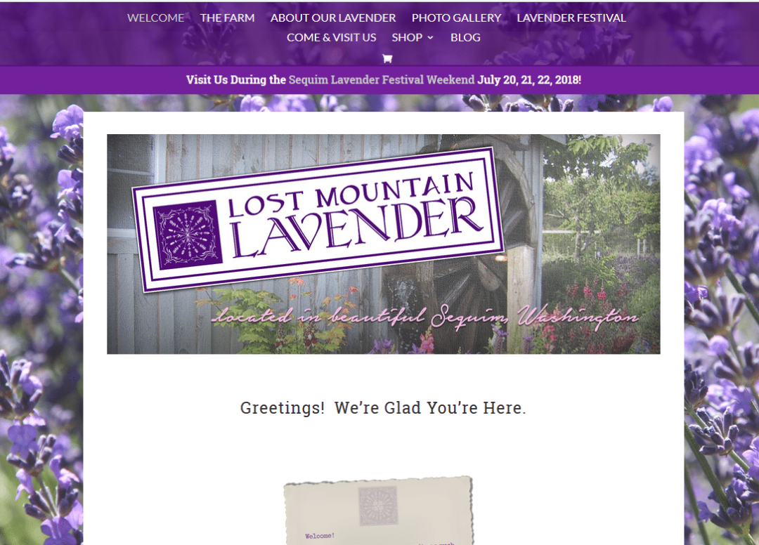 Lost Mountain Lavender